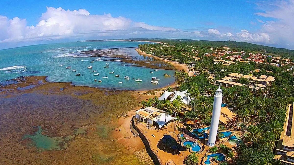 Tour Praia do Forte e Guarajuba